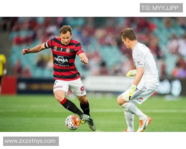 墨尔本城主场迎战阿德莱德联全力争胜的精彩对决 墨尔本城主场迎战阿德莱德联全力争胜的精彩对决